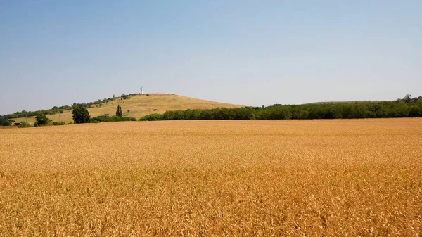 Campo Marrón Bajo Cielo Despejado —  Fotos de Stock