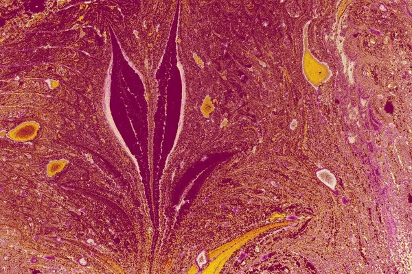 Piękny Olejny Obraz Mieszanymi Kolorami Tworzącymi Liście Idealny Abstrakcyjnych Koncepcji — Zdjęcie stockowe