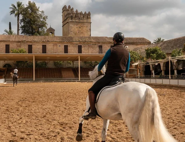 Une Personne Cheval Dans Une Ferme Corboda Andalousie Espagne — Photo