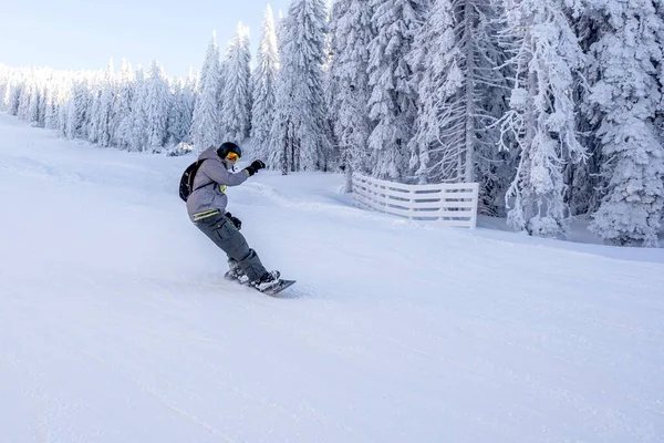 Snowboarder Bajando Colina Resort Montaña — Foto de Stock