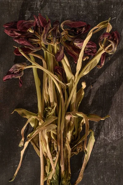 Egy Függőleges Közelkép Egy Csomó Szárított Rózsaszín Tulipánról Fémes Alapon — Stock Fotó