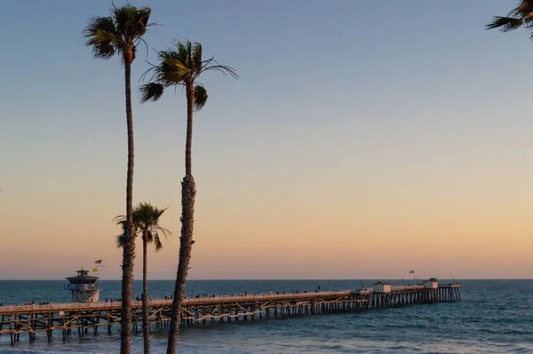 Muelle Madera Palmeras Orilla Del Mar Atardecer — Foto de Stock