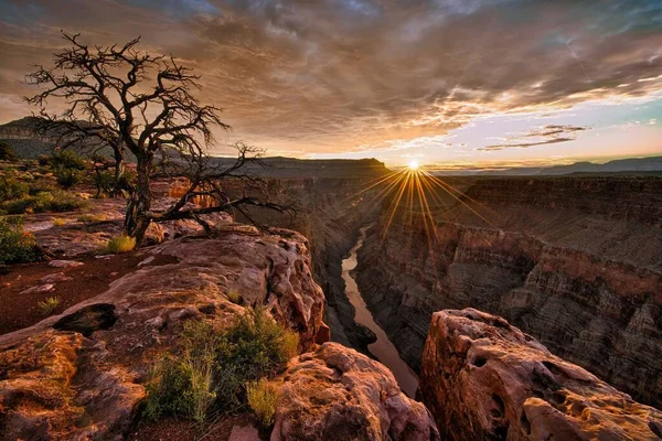 Una Vista Panorámica Del Gran Cañón Arizona Perfecto Para Papel — Foto de Stock