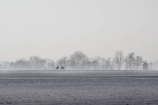 霧に包まれた朝 木々や馬に乗る人々に囲まれた湖の美しい景色 — ストック写真
