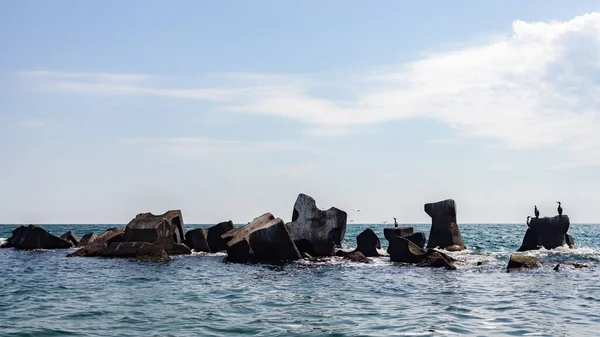 Belo Tiro Crista Protetora Pedras Com Pássaros Marinhos Estende Longo — Fotografia de Stock