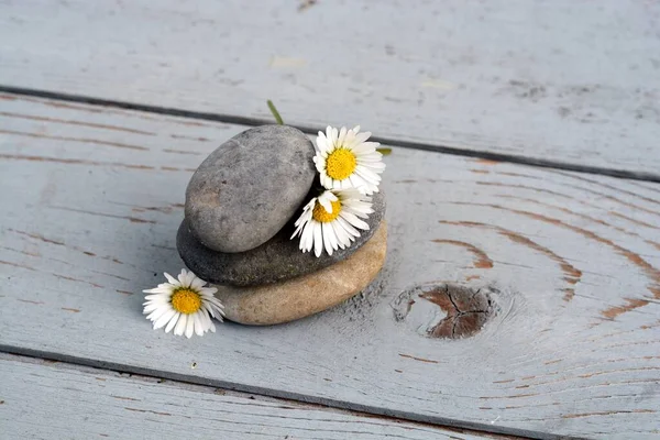 一朵由三块石头组成的特写镜头 这些石头堆在一起 旁边是木制表面上的菊花 — 图库照片