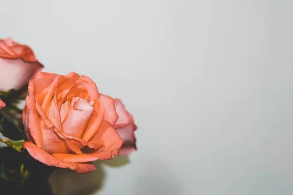 Zbliżenie Ujęcie Pięknej Kwiatowej Aranżacji Różami Białym Tle Kopią Miejsca — Zdjęcie stockowe