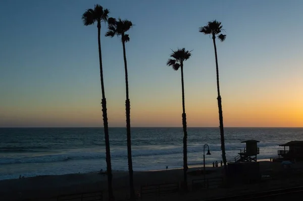 Silhouettes Palm Trees Lifeguard Tower Shore Sea Sunset — Stock Photo, Image
