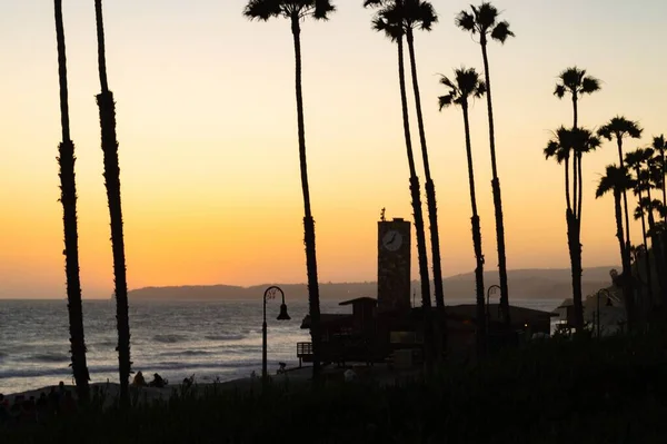 Belle Vue Sur Plage Avec Des Palmiers Coucher Soleil — Photo