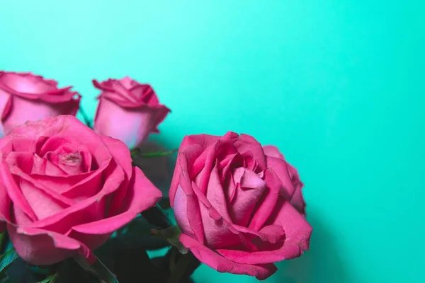 緑の背景にピンクのバラと花の配置のクローズアップショットコピースペース — ストック写真
