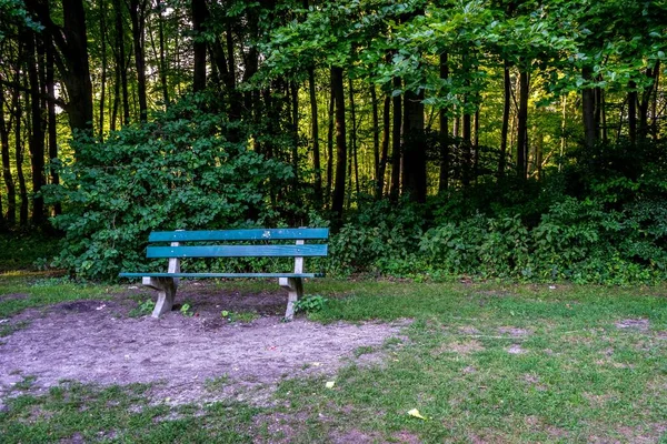 Egy Pad Haagse Bos Erdőben Hágában Hollandiában Európában — Stock Fotó