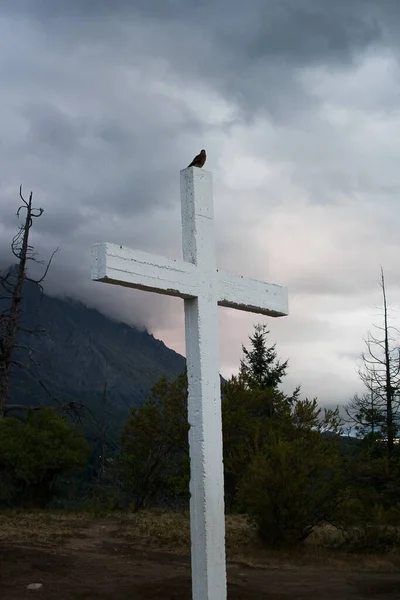 Вертикальный Снимок Маленькой Птички Сидящей Белом Деревянном Кресте — стоковое фото