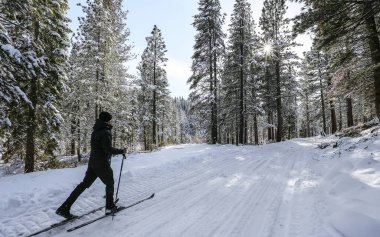 TRUCKEE, CALIFORNIA, UNITED STATES - Jan 04, 2019: A solo male cross country skis in the Sierra Nevada mountains near Truckee and Lake Tahoe. clipart
