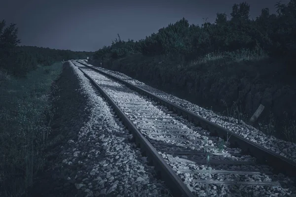 Riel Tren Los Guijarros Con Arbustos Por Noche — Foto de Stock