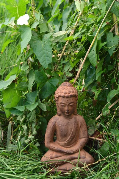 Närbild Bild Röd Sten Buddha Staty Framför Gröna Blad — Stockfoto