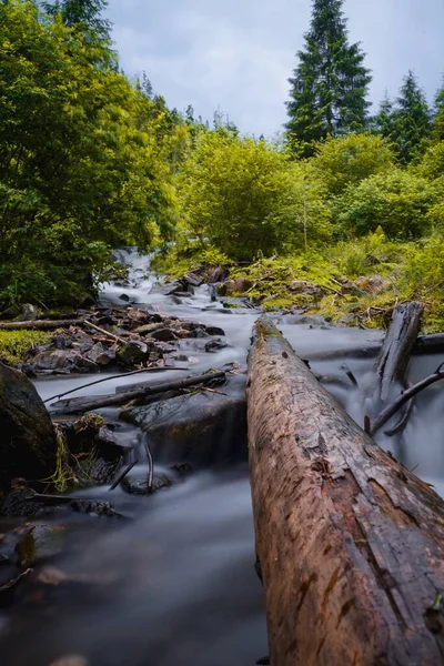Vertikální Záběr Řeku Dlouhou Expozicí Obklopenou Skalami Stromy Lese — Stock fotografie