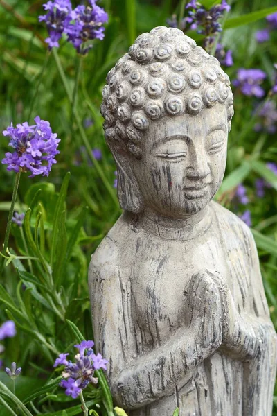 Zbliżenie Ujęcia Posągu Buddy Pobliżu Purpurowo Płatkowatych Kwiatów Lawendy — Zdjęcie stockowe