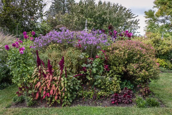 Les Fleurs Fleuries Colorées Dans Jardin — Photo