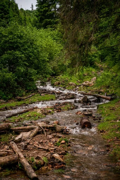 Вертикальный Снимок Небольшой Реки Окруженной Скалами Зеленью Лесу — стоковое фото