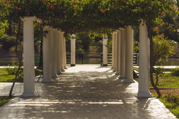 Sendero Con Columnas Blancas Los Bordes Del Hermoso Jardín Floral — Foto de Stock