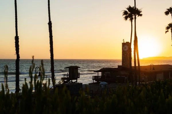 Σιλουέτες Των Φοινίκων Στην Παραλία Κατά Διάρκεια Του Ηλιοβασιλέματος — Φωτογραφία Αρχείου