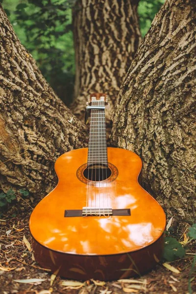 Tiro Vertical Uma Guitarra Apoiada Tronco Uma Árvore Meio Uma — Fotografia de Stock