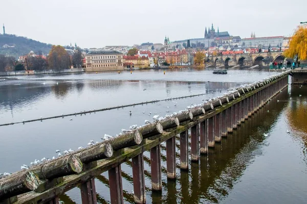 Una Hermosa Toma Del Río Moldava Sobre Paisaje Urbano Praga —  Fotos de Stock