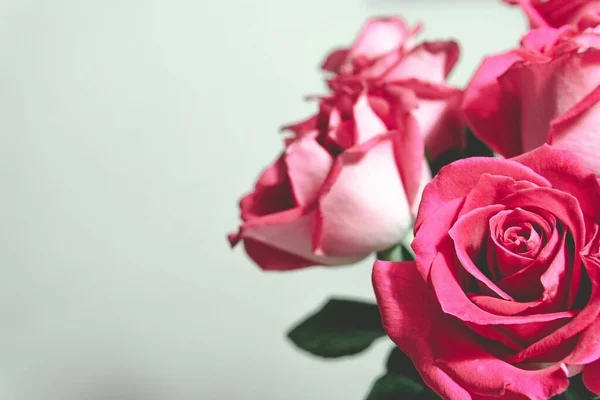 Close Belo Arranjo Floral Com Rosas Fundo Branco Com Espaço — Fotografia de Stock