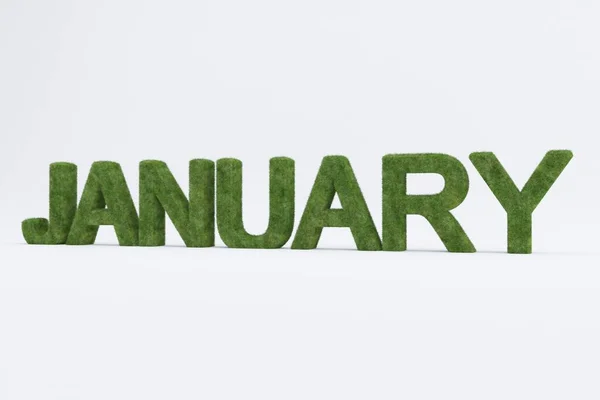 Een Rendering Van Groen Gras Januari Woord Geïsoleerd Witte Achtergrond — Stockfoto