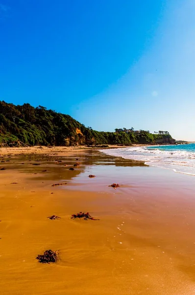 蓝色海景背景下美丽沙滩上阳光灿烂的风景 — 图库照片