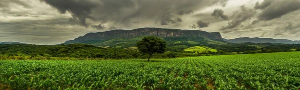 Uno Scatto Panoramico Campo Verde Con Alberi Colline Sullo Sfondo — Foto Stock