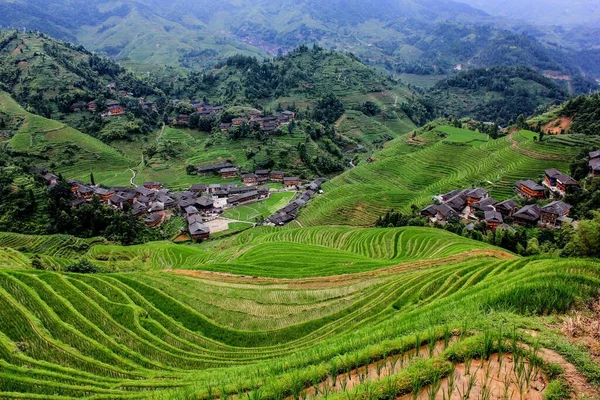 Dragon\'s Backbone Rice Terrace fields in Dazhai Village, Longsheng County, China - tourism/agriculture/farming