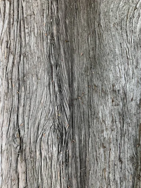 Primo Piano Verticale Corteccia Albero Marrone Perfetto Gli Sfondi Naturali — Foto Stock