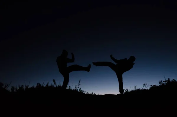 Close Silhuetas Homens Lutando Natureza Noite — Fotografia de Stock