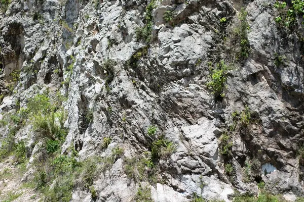 Eine Nahaufnahme Riesiger Felsformationen Mit Wildpflanzen Tag — Stockfoto