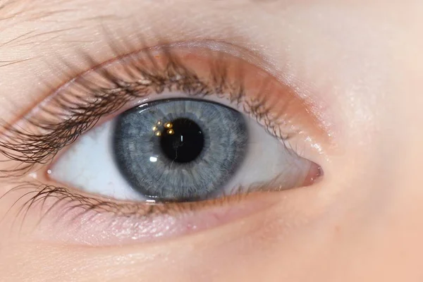 Gros Plan Bel Oeil Bleu Une Personne — Photo