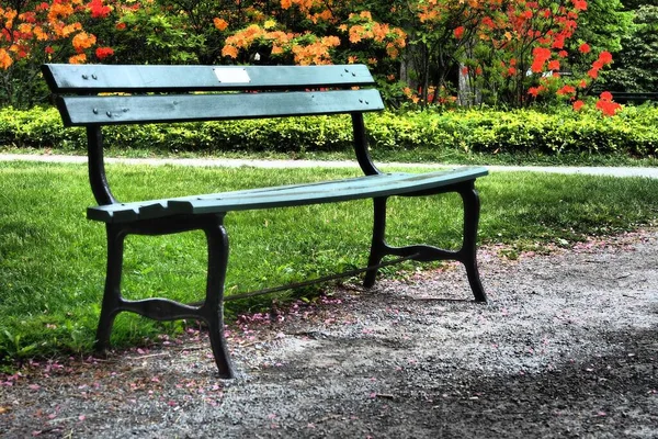 Closeup Wooden Bench Metal Legs Park Summer Day — Stock Photo, Image