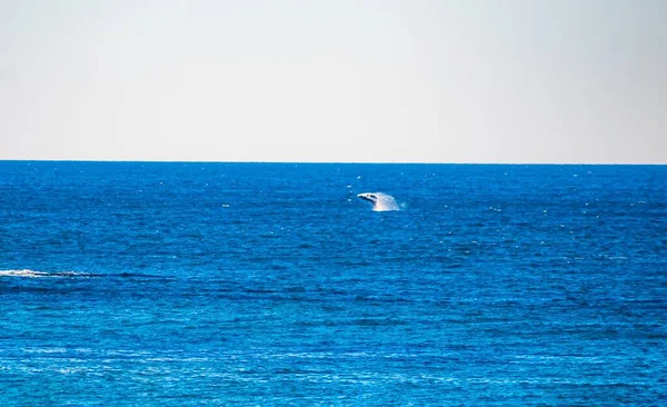 太陽の下で美しい青い海の日当たりの良い風景 — ストック写真