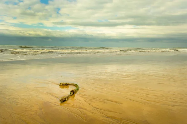 Hermoso Tiro Una Cuerda Orilla Del Mar Con Mar Ondulado — Foto de Stock
