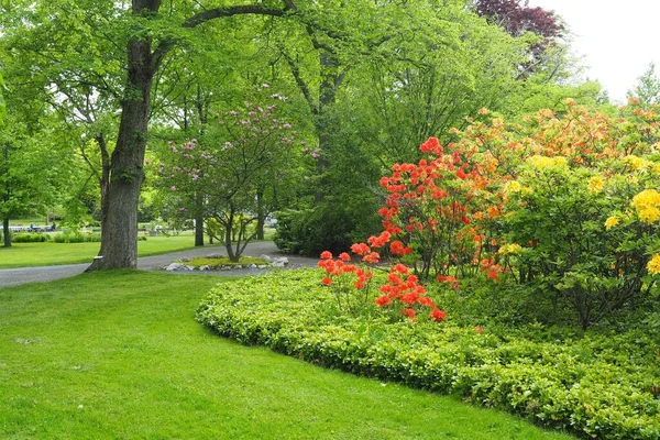 Parque Con Césped Verde Flores Naranjas Halifax Canadá — Foto de Stock