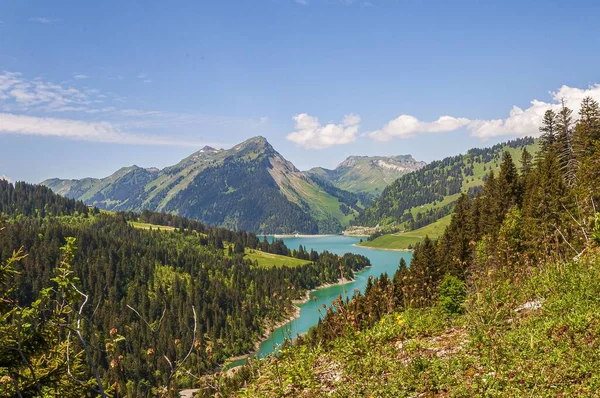 Colpo Angolo Alto Bellissimo Fiume Turchese Tra Colline Longrin Svizzera — Foto Stock