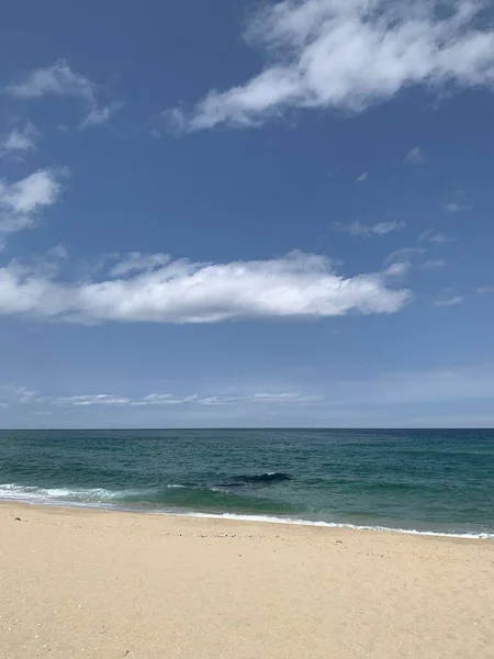 Eine Vertikale Aufnahme Eines Idyllischen Tropischen Strandes Unter Wolkenlosem Blauem — Stockfoto