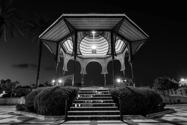 Una Toma Escala Grises Mirador Del Parque —  Fotos de Stock