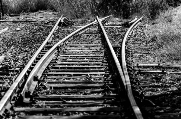 自然の中で別れの列車の鉄道のAwilグレースケールショット — ストック写真