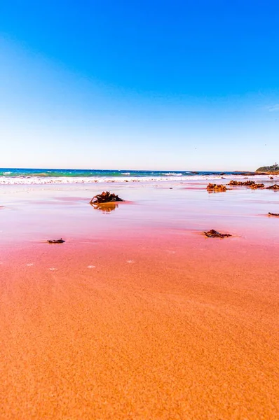 Slunečné Scenérie Krásné Písečné Pláže Modrém Mořském Pozadí — Stock fotografie
