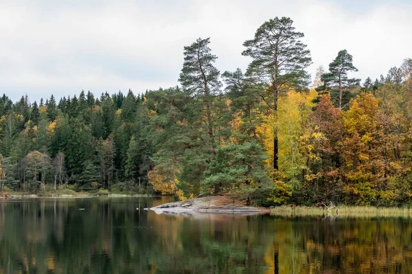 Прекрасный Пейзаж Осенних Деревьев Отражающихся Озере Днем — стоковое фото