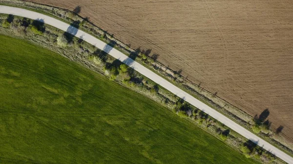 アスファルトの道路と木によって分割緑と茶色のフィールドの空中ショット — ストック写真