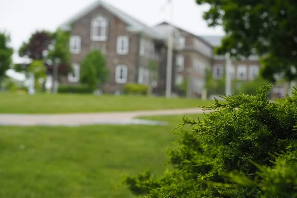 Een Weg Met Een Groen Grasveld Struiken Het Park Halifax — Stockfoto