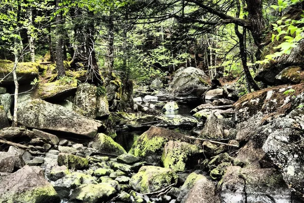 Pequeña Cascada Que Cae Lago Con Piedras Cubiertas Musgo Halifax —  Fotos de Stock