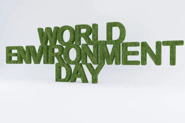 Rendering Green Grass World Environment Day Text White Background — Stock Photo, Image